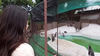 果冻传媒玛丽莲四部曲-【麻豆传媒】MD0209 饥渴三娘 淫欲教子-琁元 &amp;amp;amp; 苏娅（乔安） &amp;amp;amp; 潘雨曦
